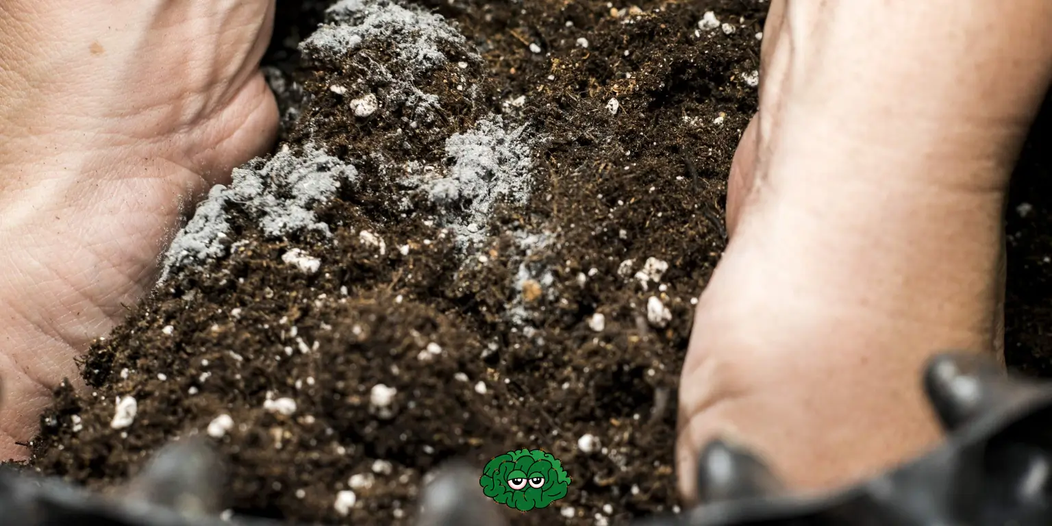 Мікоріза для канабісу