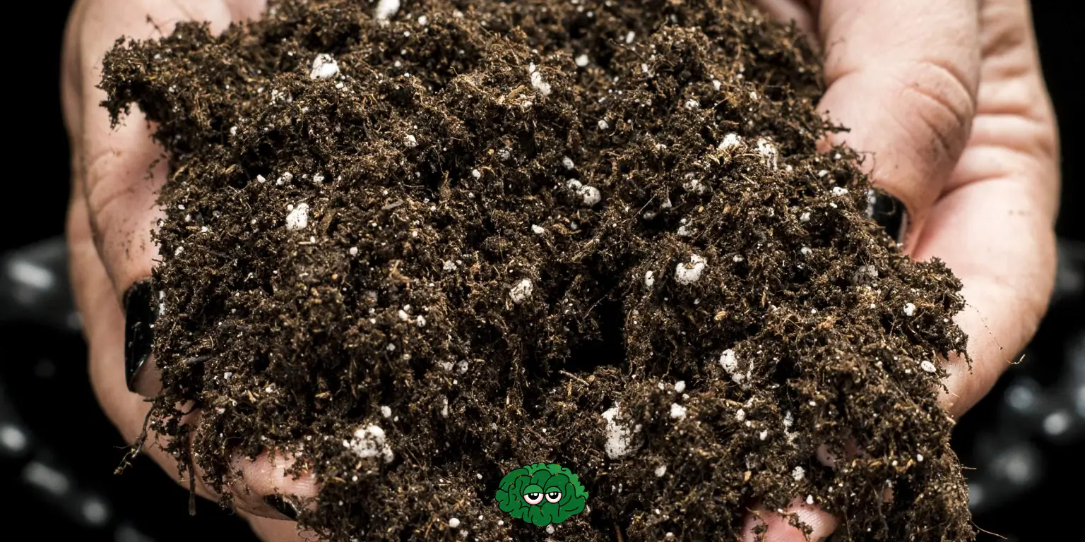 Земля для каннабиса