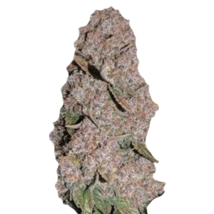 Purple Punch OG Fast насіння канабісу
