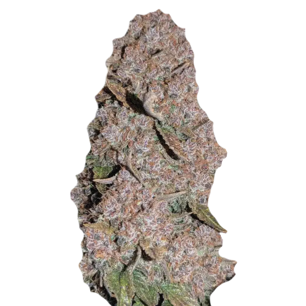Purple Punch OG Fast насіння канабісу