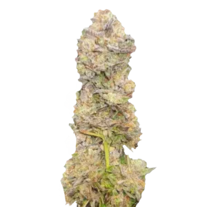 Ultimate Auto насіння канабісу