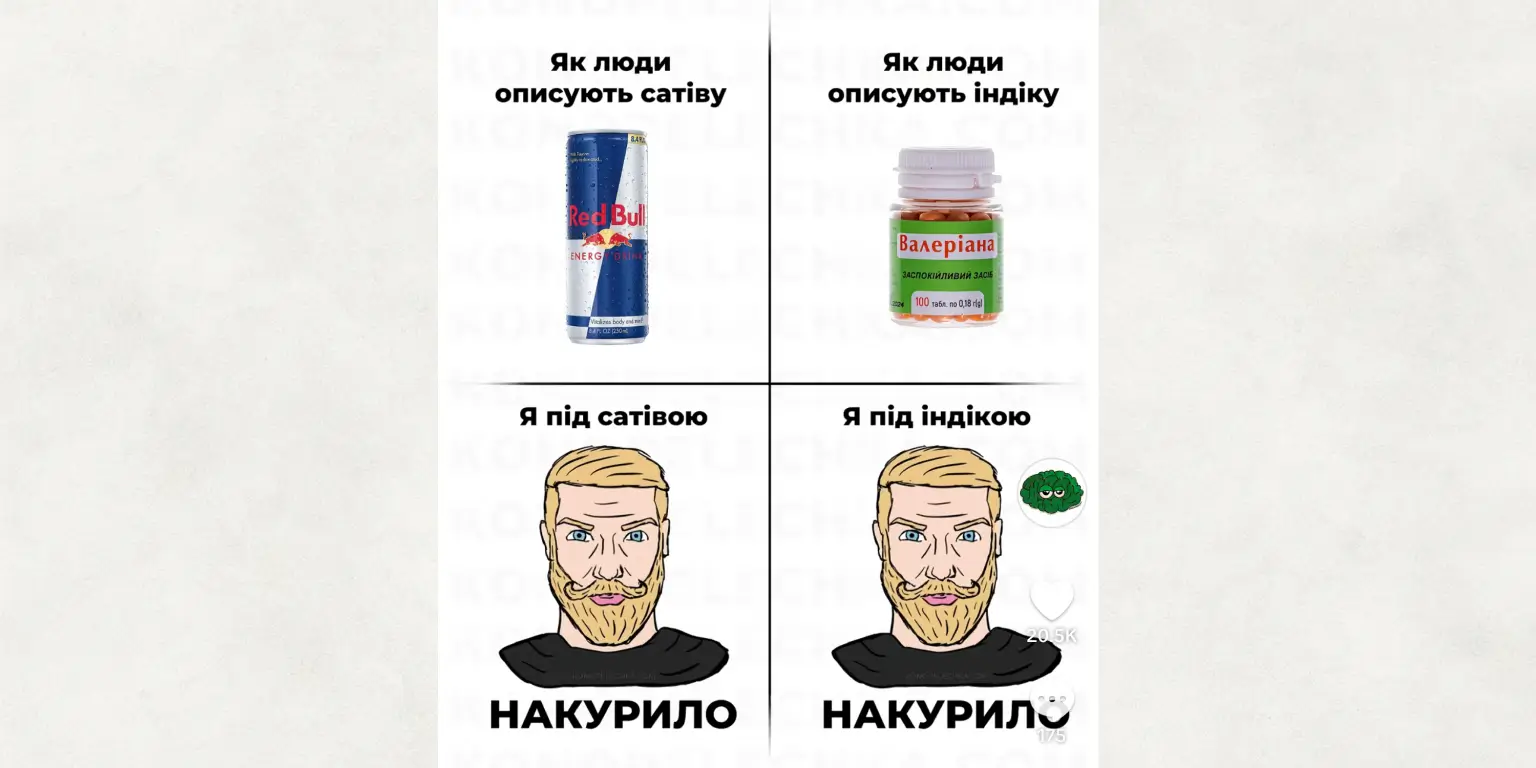 Сатіва та Індіка Різниця мем 