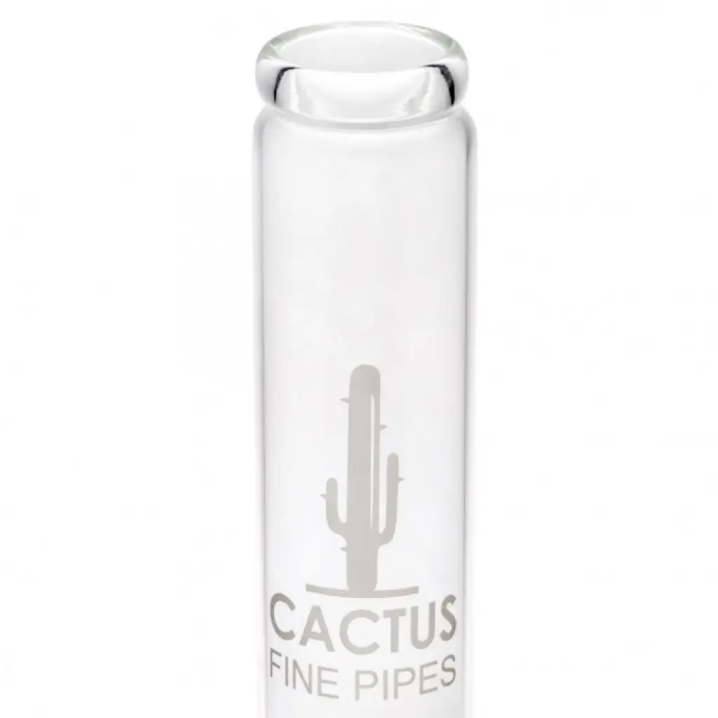 Бонг кактус купити