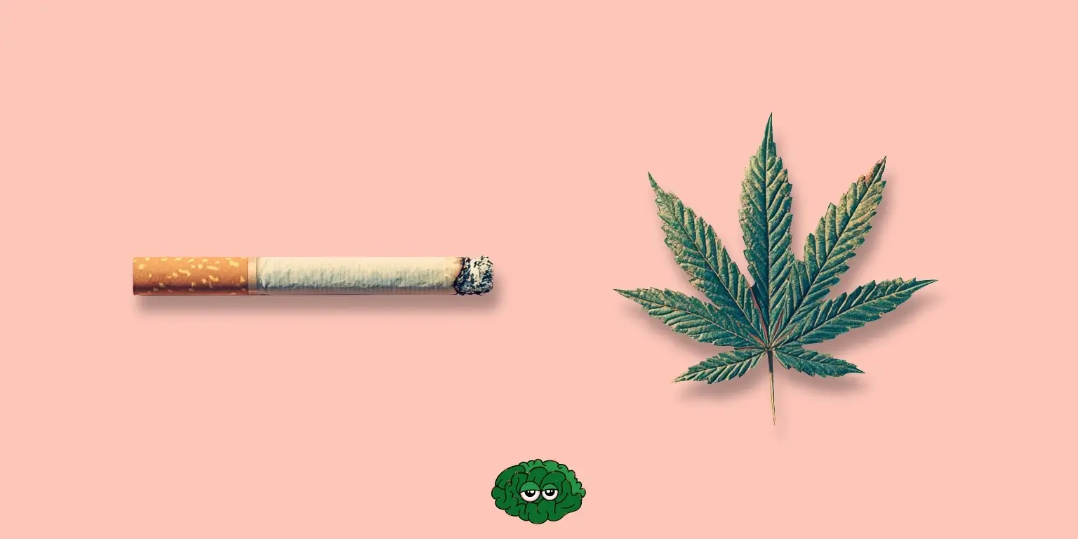 канабіс та тютюн - цигарка та лист коноплі