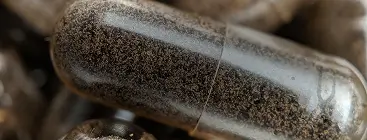 Мікродозинг Грибів