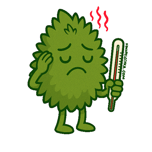 Шишка коноплі анімація то жарко то холодно температура градусник