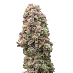 Strawberry Banana Auto насіння елітного канаібсу