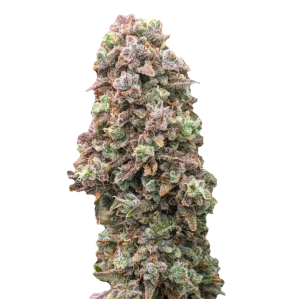 Strawberry Banana Auto насіння елітного канаібсу