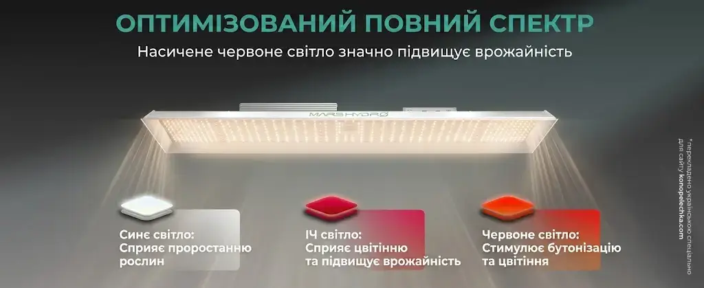 Інфографіка повного спектра фітолампи Mars Hydro TSL2000: роль синього, червоного та ІЧ-світла у розвитку рослин