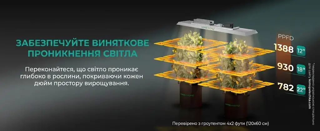 Карта показників PPFD для фітолампи Mars Hydro TSL2000 у гроутенті 120х60 см для забезпечення виняткового проникнення світла.