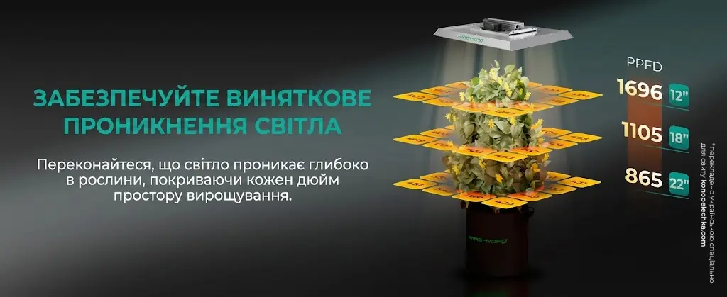 Схема проникнення світла та показники PPFD для фітолампи Mars Hydro TSW2000 на висоті 12, 18 та 22 дюйми