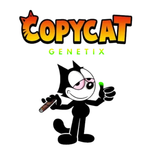 саме дороге насіння коноплі - CopyCat Genetics