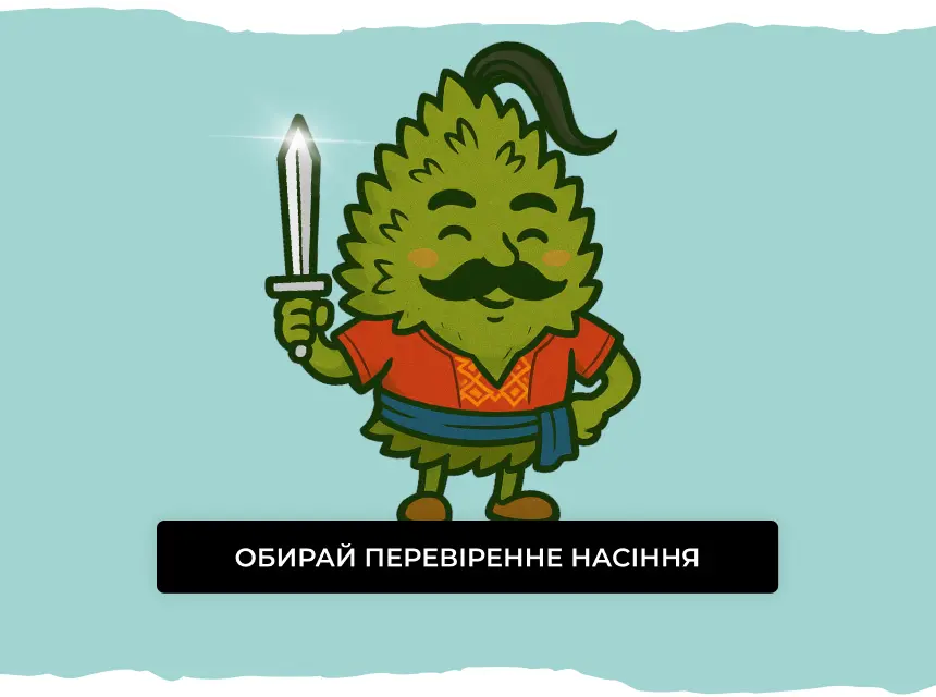 Обирай перевіренне насіння коноплі